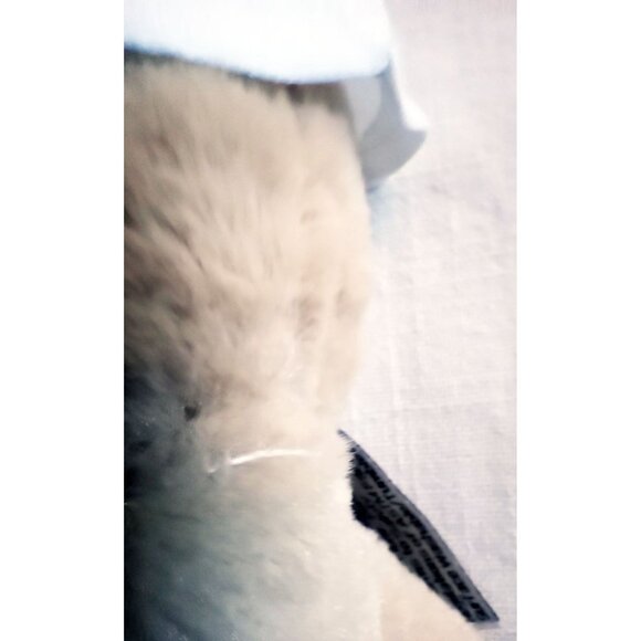 Duke's Bear Plush Zoovenir Mount Vernon Texas 2017 Stuffed Animal 10 Inches - Picture 6 of 14